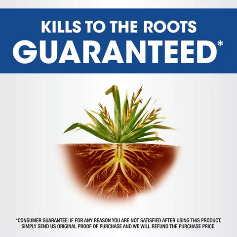 Roundup Weed & Grass Killer RTU Trigger Herbicide 24oz