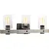 Progress Lighting Gulliver 3-Light 24" Bathroom Vanity Light – Graphite (P300125)