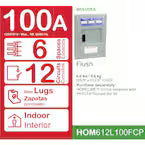 Square D HomeLine 100A 120/240V 6-Space 12-Circuit Flush Mount Main Lug Load Center